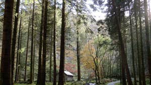 Gougane Barra National Forest Park