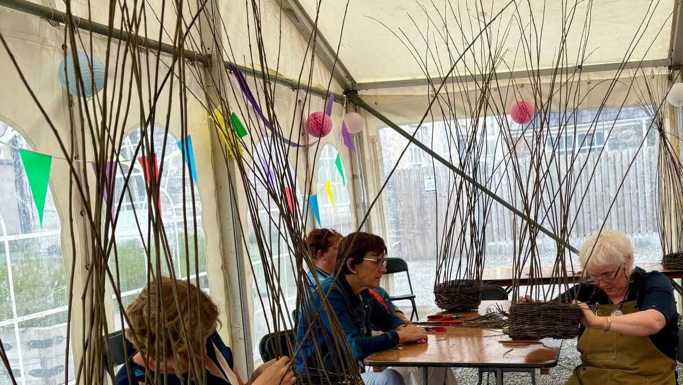 People seated at tables weaving baskets with tail willow canes