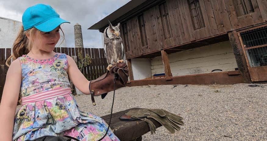 A little girl holding an owl at the Irish National Heritage Park in County Wexford.