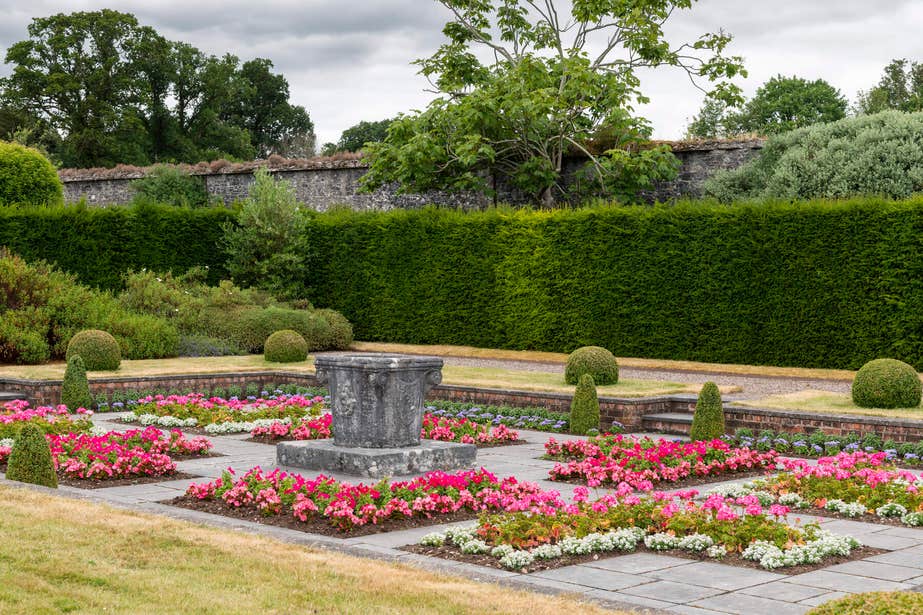 Pink flowers in garden at Fota House.