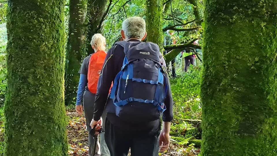 Walkers in Forest