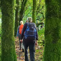 Walkers in Forest