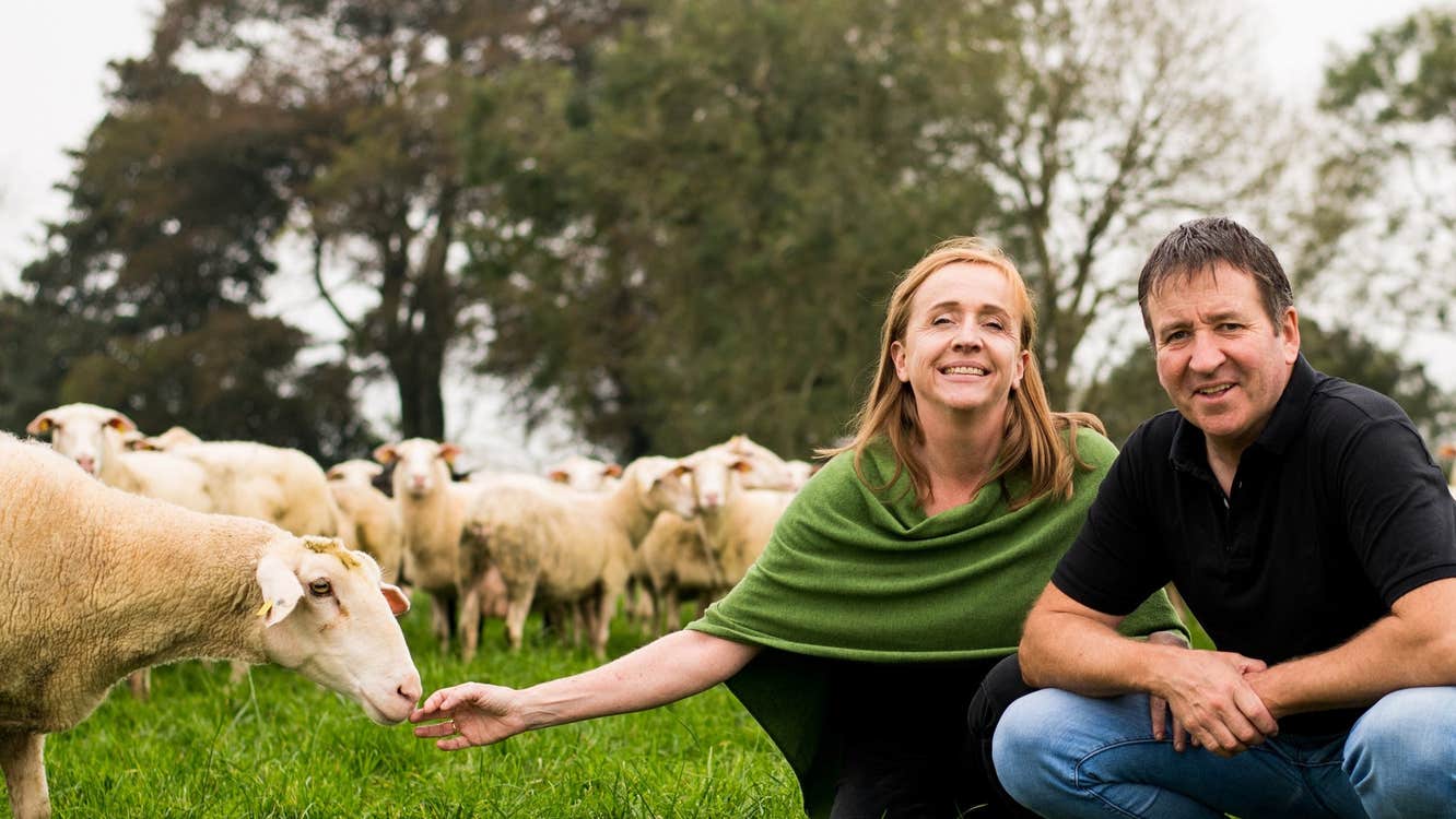 Man and woman in a field feeding a sheep