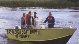 Barracuda Boat Trips