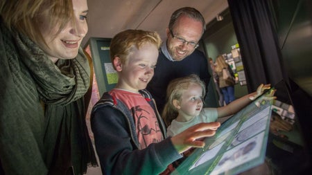 A family looking at a display in a museum