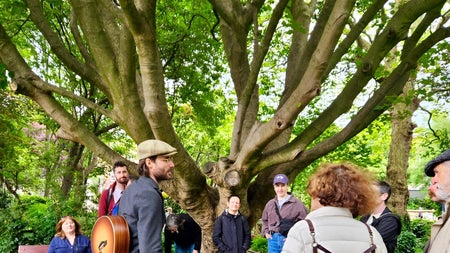 Walking tour group gathered beside a large tree