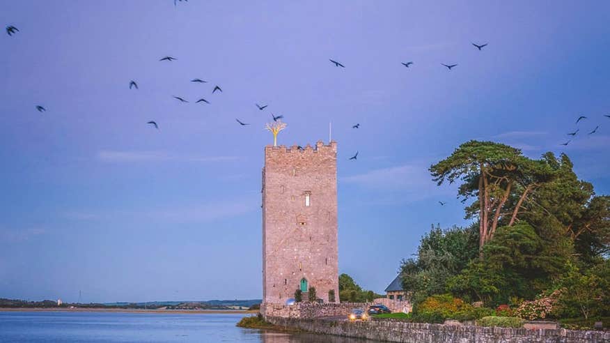Birds flying around Belvelly Castle in Cork at sunset.