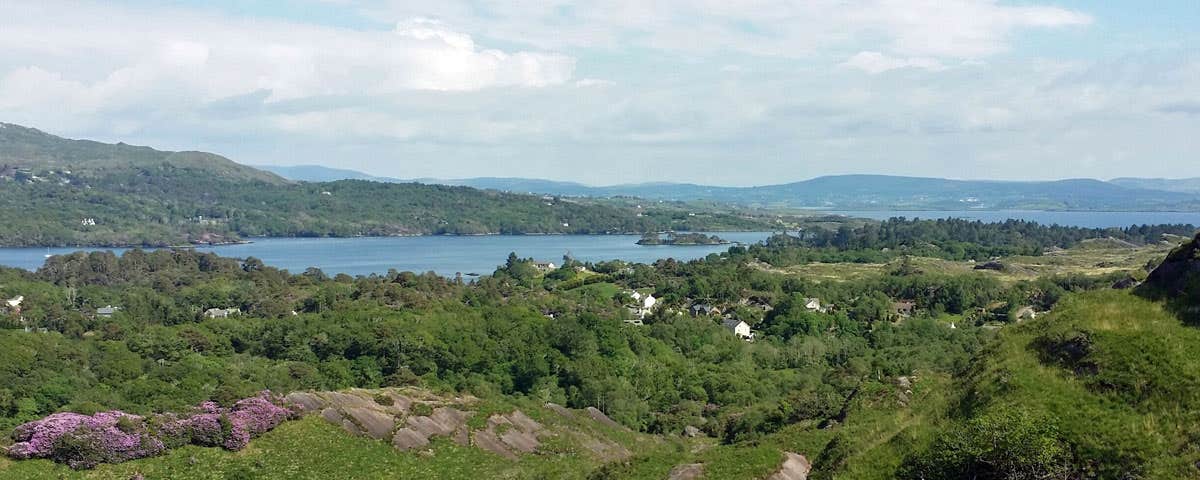 A view of Bantry Harbour in the distance surrounded by forestry taken from a vantage point within the Nature Reserve known as Lady Bantrys Lookout