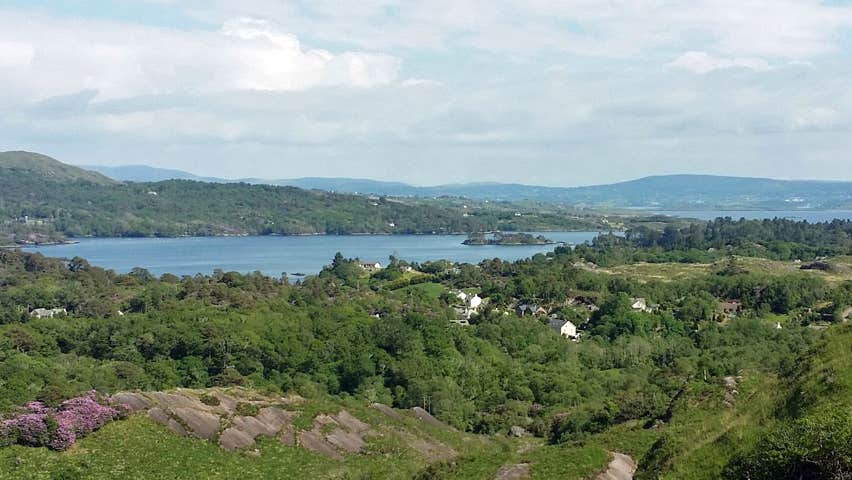 A view of Bantry Harbour in the distance surrounded by forestry taken from a vantage point within the Nature Reserve known as Lady Bantrys Lookout