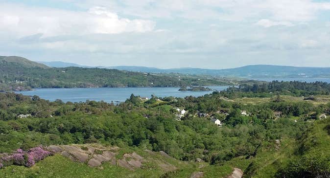 Glengarriff Woods Nature Reserve