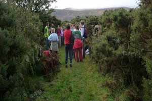 Clogrennane Wood Loop