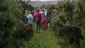 Walking in Carlow