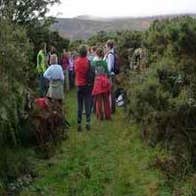 Walking in Carlow