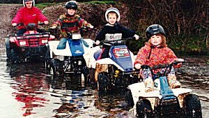 Bridgefield Buggies Ltd.