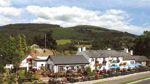 Fitzpatricks Bar & Restaurant