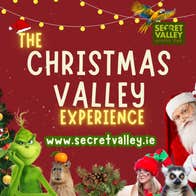 Christmas, Wexford, Ireland Christmas, Animals, Things to do wexford, Christmas time, Santa, Grinch, Elves, Lemur, Capybara, Christmas in Ireland, unique christmas, letter form santa