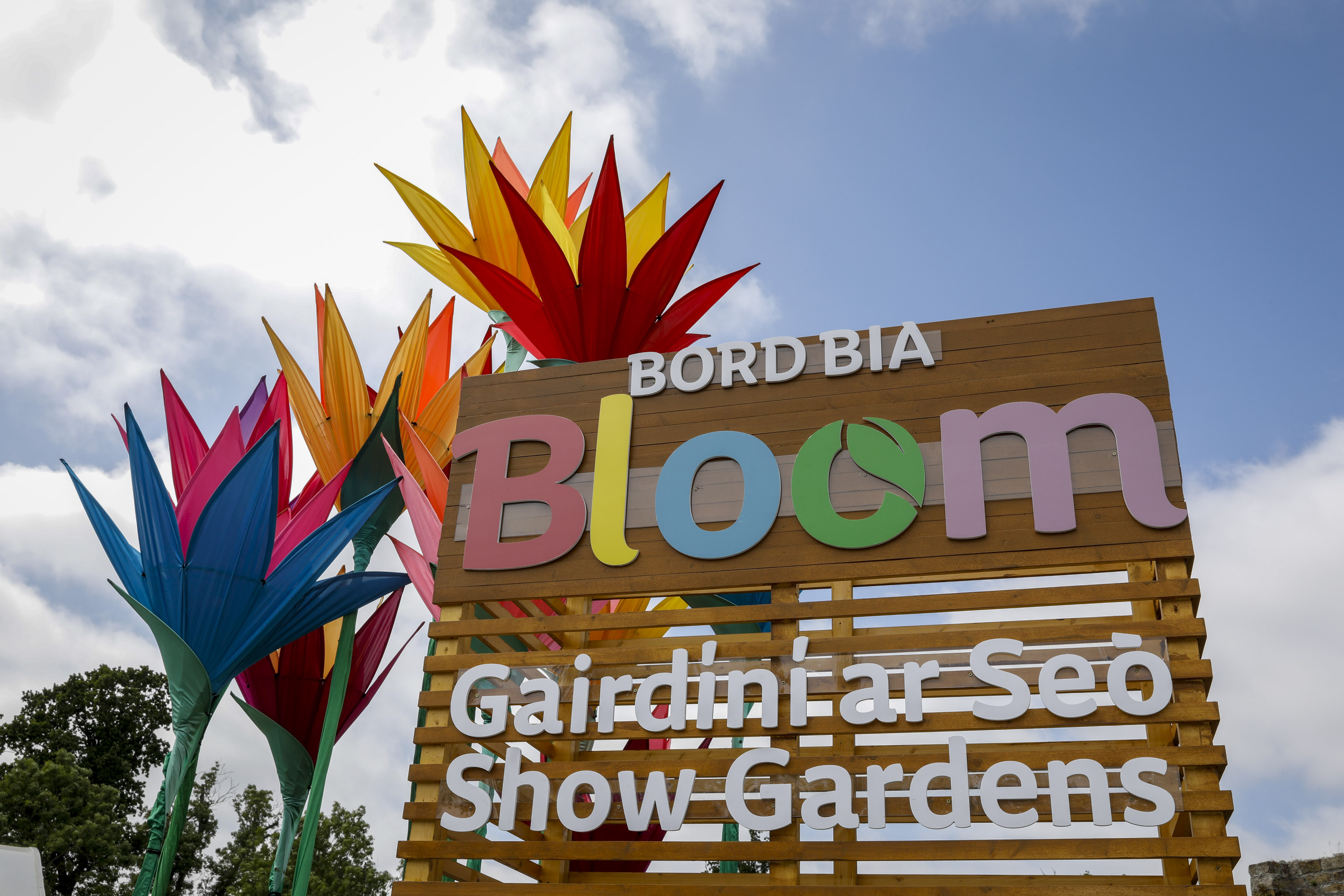 Bord Bia Bloom 2024