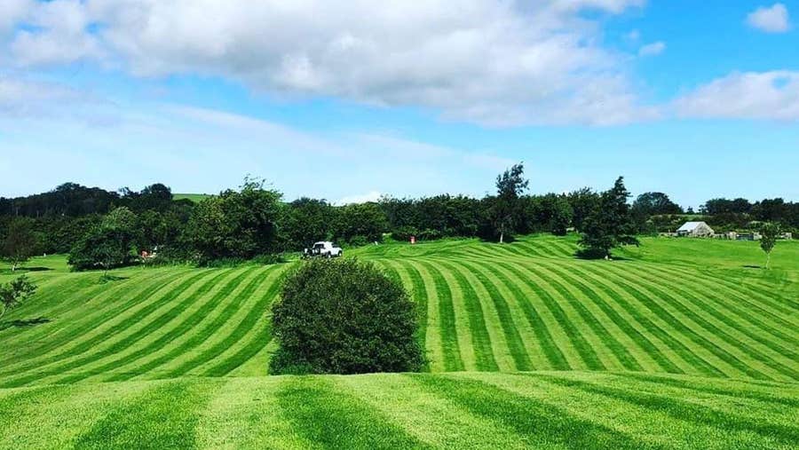 Bush on the fairway at FootGolf Mayo Westport County Mayo