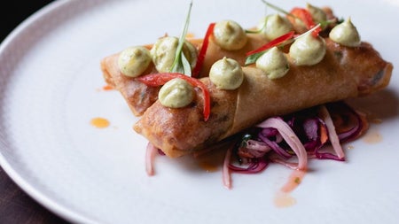 Plated appetiser featuring crispy spring rolls topped with sauce and served with vegetables