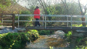 Image of person on walk