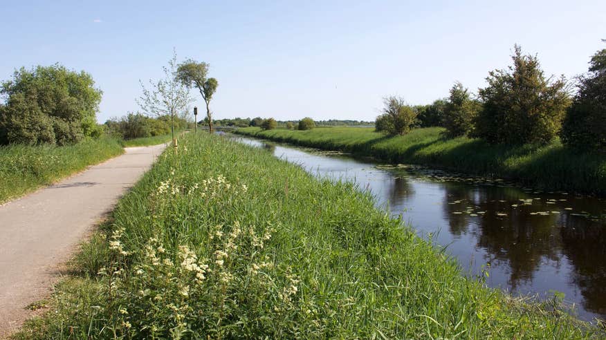 The riverbanks of the Shannon Banks Nature Trail in County Westmeath.