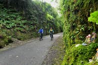 Two people cycling through tree-lined country roads as they enjoy a tour with The Greenway Man - Bike Hire in County Waterford.