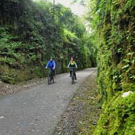 Two people cycling through tree-lined country roads as they enjoy a tour with The Greenway Man - Bike Hire in County Waterford.
