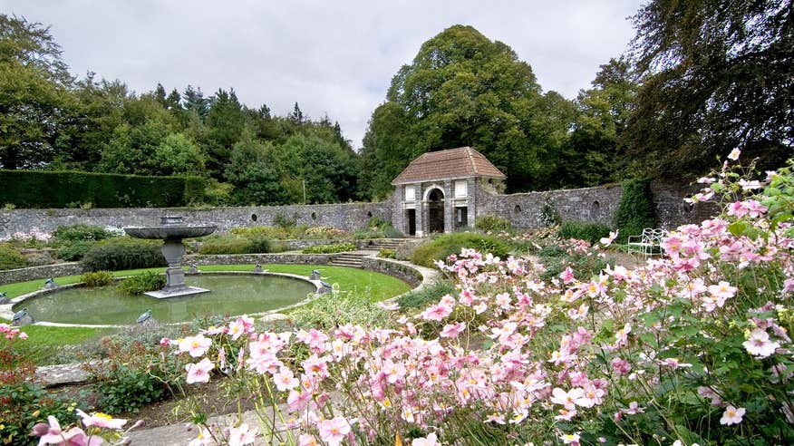 Pink flowers at Heywood Gardens in County Laois