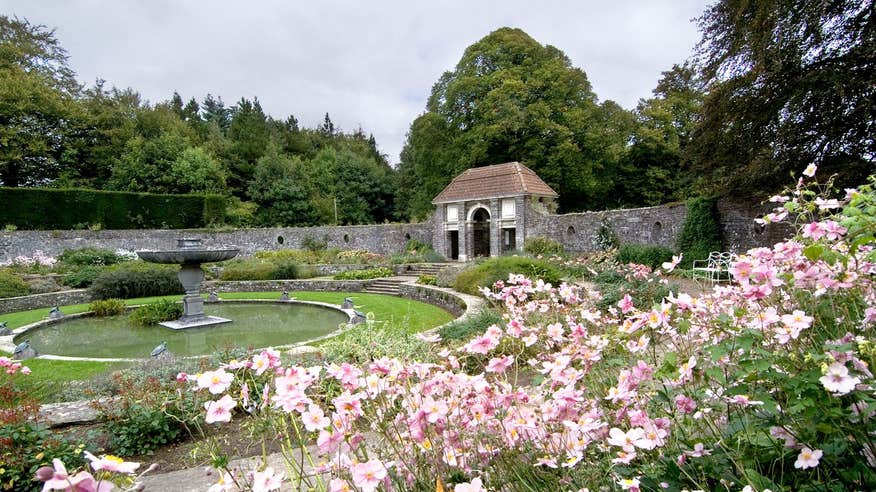 Pink flowers at Heywood Gardens  in County Laois