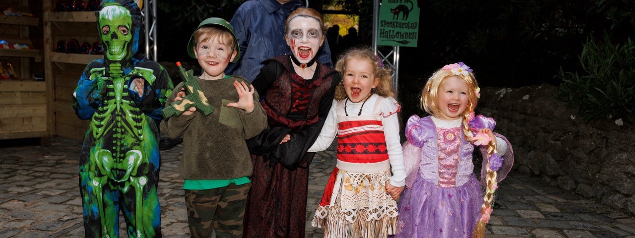 Join us this Halloween at Malahide Castle and Gardens