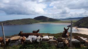 Donegal Coastal Tours