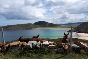 Donegal Coastal Tours, Milltown, Donegal