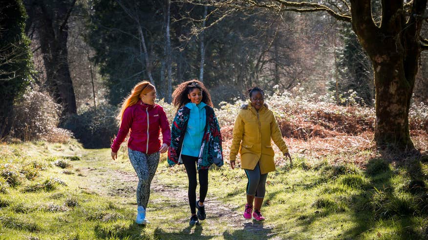 People in Portumna Forest Park in Co Galway