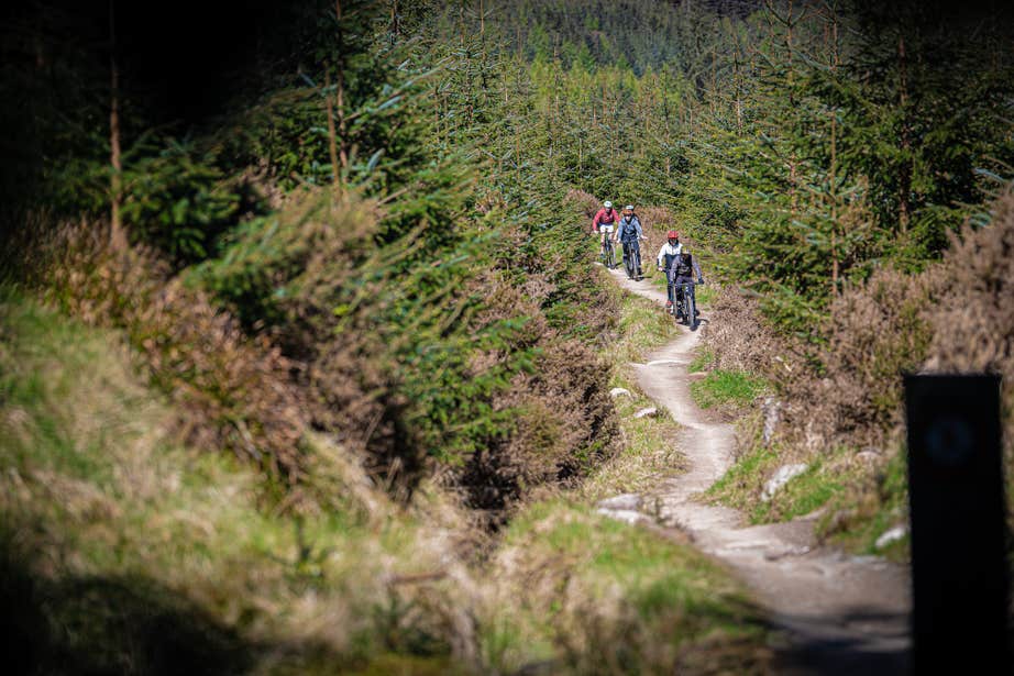 Four people cycling the trail in the Ticknock Mountains in County Dublin. 