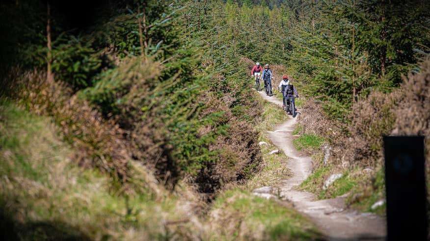 Four people cycling the trail in the Ticknock Mountains in County Dublin. 