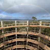 Viewing a rainbow in the sky from the top of the viewing tower at Beyond The Trees