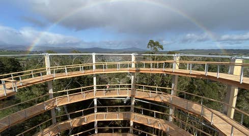 Viewing a rainbow in the sky from the top of the viewing tower at Beyond The Trees