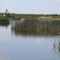 View of the lake.