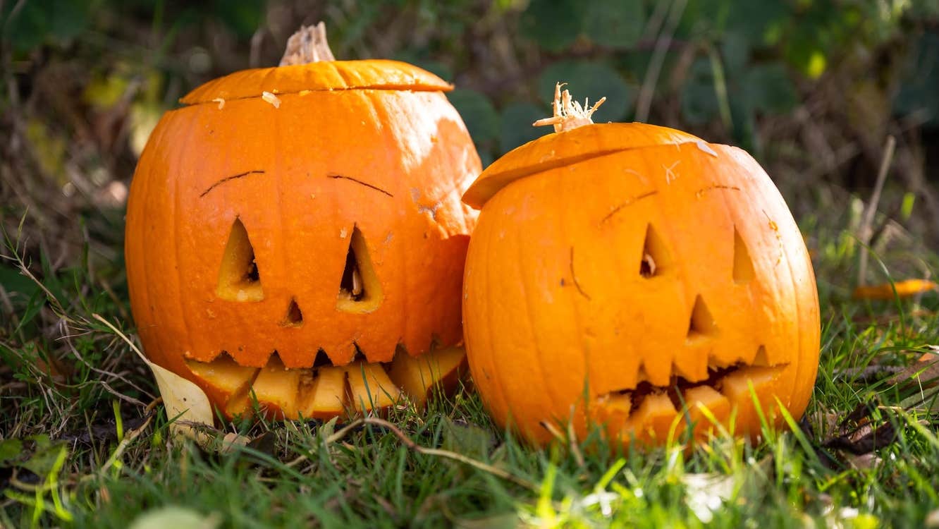 Pumpkin & Fun Halloween Festival