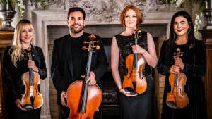 Best of Hanz Zimmer music performed by Avoca String Quartet at the base of the Viewing Tower at Beyond the Trees Avondale.
