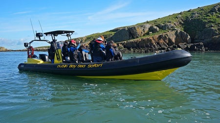A group of people out on the water with Dublin Bay Sea Safaris