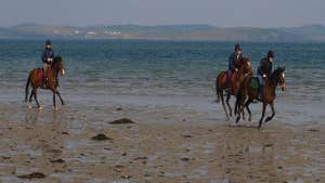 Drummindoo Stud & Equitation Centre