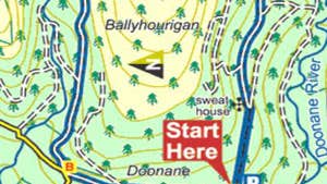 Ballyhourigan Woods looped walk map