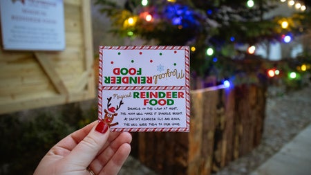 A Christmas to Remember at Newbridge House and Farm