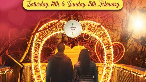 Experience love at new heights with a sunset stroll along the Treetop Walkway and Tower, where nature’s beauty unfolds beneath your feet. Wander along the illuminated path to Lover’s Lookout, where a heart-shaped photo opportunity awaits.