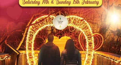 Experience love at new heights with a sunset stroll along the Treetop Walkway and Tower, where nature’s beauty unfolds beneath your feet. Wander along the illuminated path to Lover’s Lookout, where a heart-shaped photo opportunity awaits.