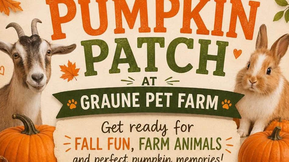 Poster for Pumpkin Patch at Graune Pet Farm