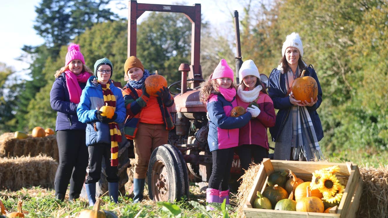 Family enjoying pumpkin patch fun at Wells House & Gardens, choosing pumpkins beside a vintage tractor during the Halloween experience