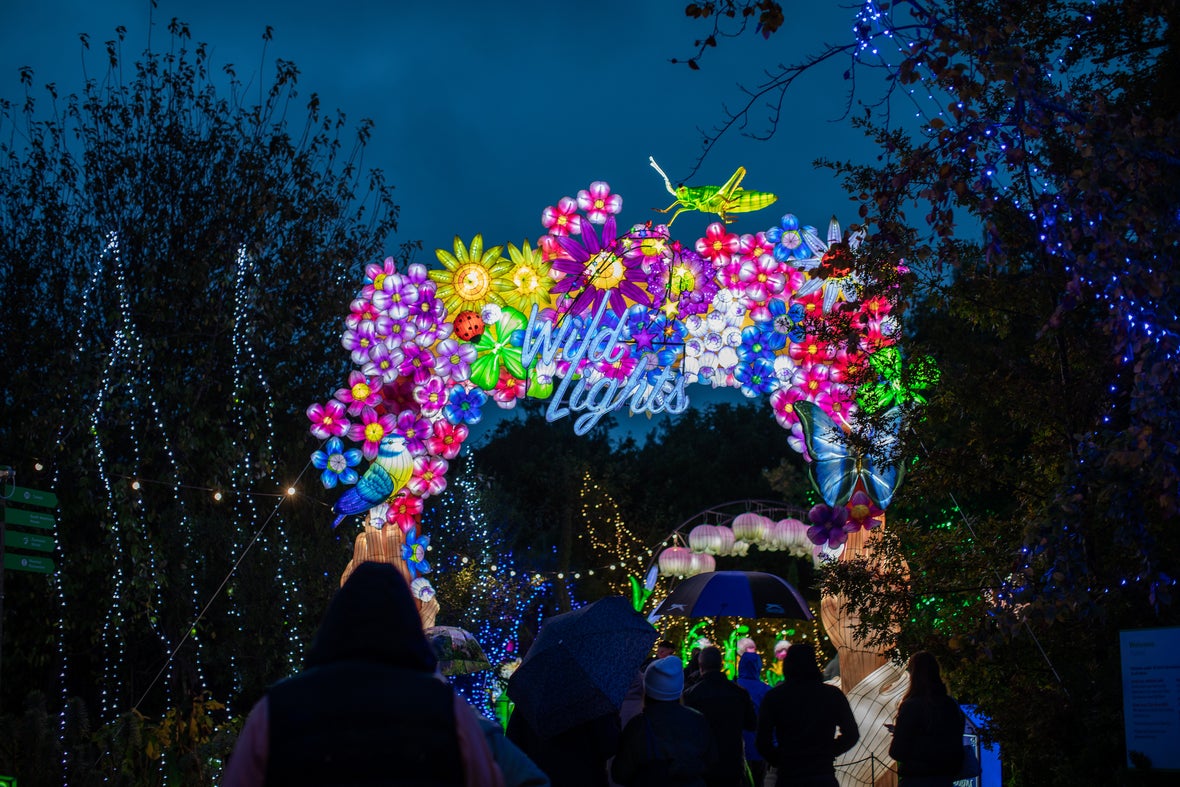 The Wild Lights display at Dublin Zoo