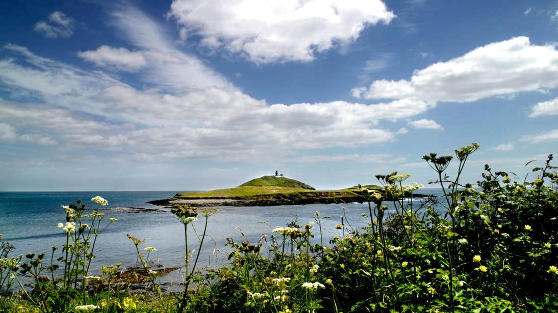 A view of flowers and blue skies with Ballycotton Island in the distance